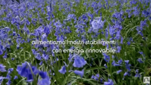 NOVAVISION E’… – VIDEO AZIENDALE